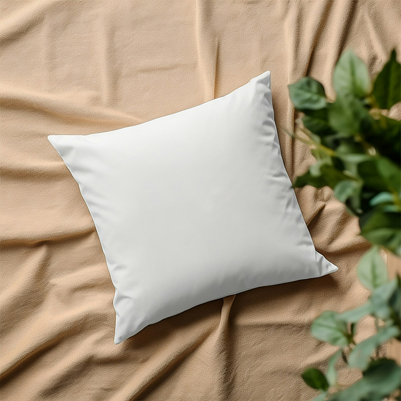100% Cás pillow Microfiber poileistir